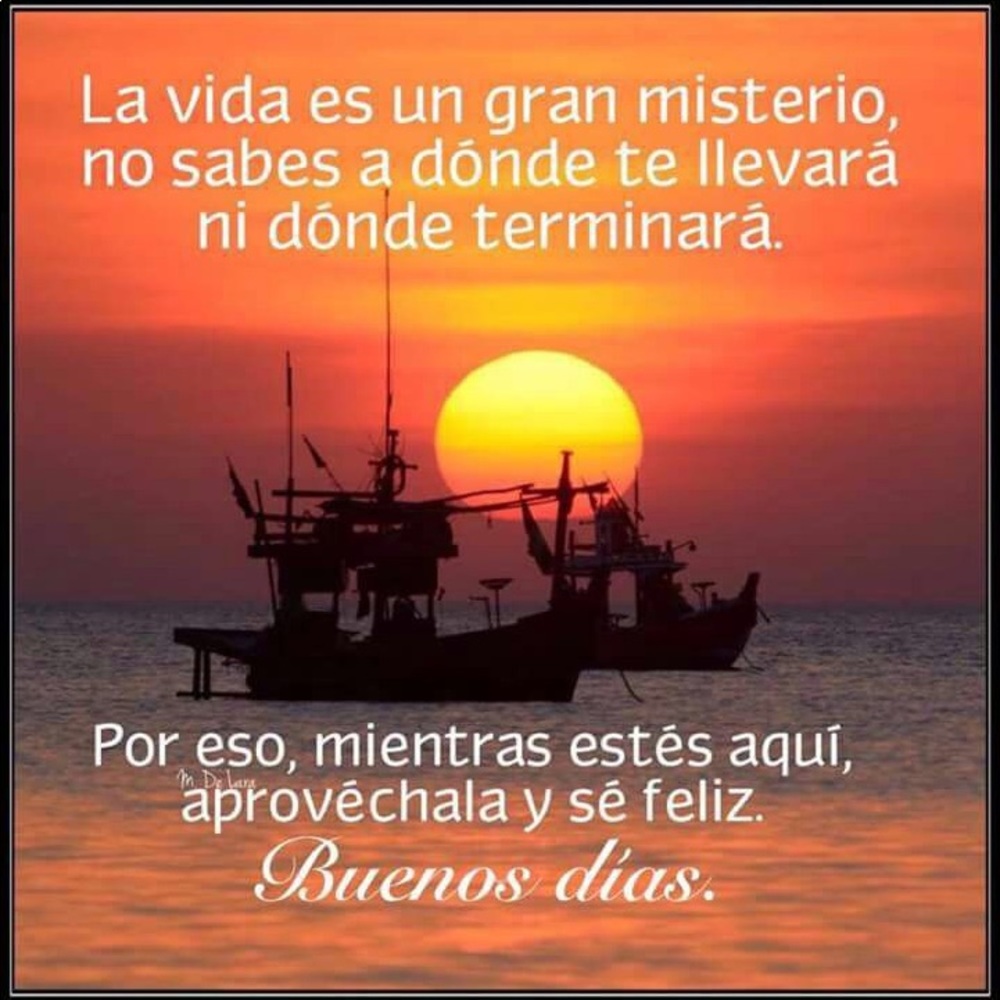 Meet your Posher, Lilia